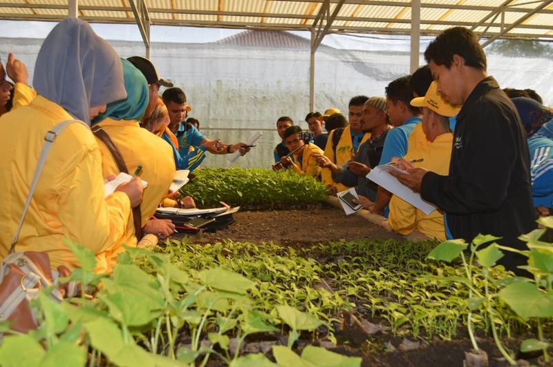 Jurusan Agroteknologi: Mata Kuliah, Daftar Kampus & Prospek Kerjanya